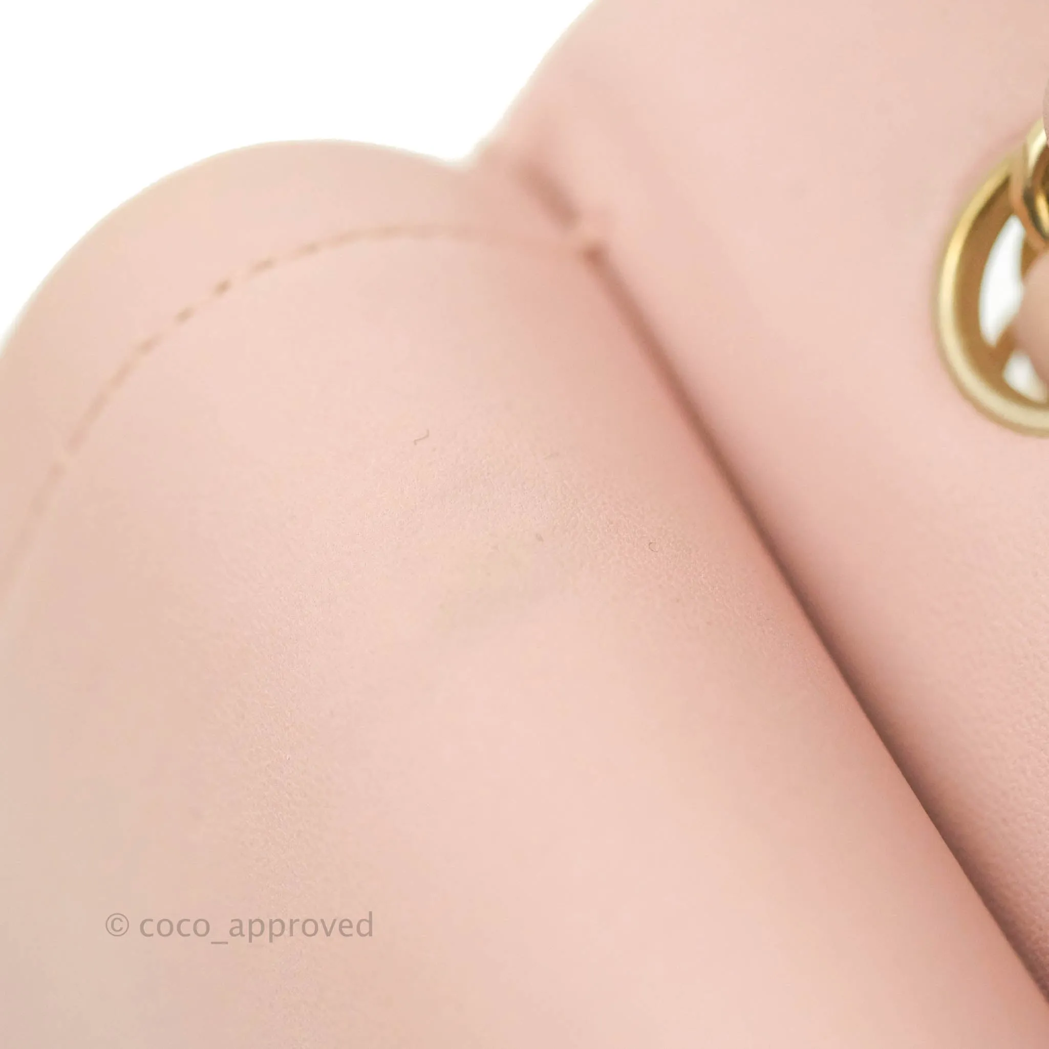 Chanel Classic M/L Medium Flap Quilted Light Pink Lambskin Matte Gold Hardware