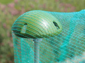 Net Domes